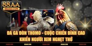 Đá gà đòn thomo 88aa